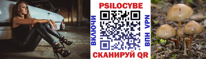 Галлюциногенные грибы мухоморы  kraken зеркало  Венёв 