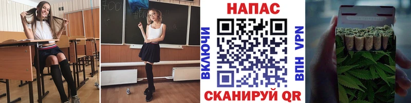 blacksprut ссылка  Венёв  Канабис конопля 